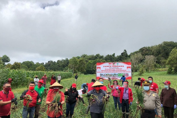 ROR-RD Panen Perdana Bawang Merah Varietas Lansuna