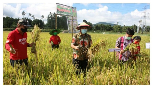Didampingi Sekda Muntu, Wagub Kandouw Serahkan Bantuan Pertanian