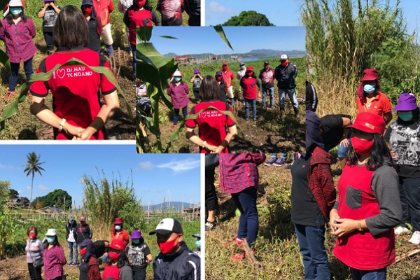 Pemerintah Kabupaten Minahasa Kerja Bakti Angkat Eceng Gondok Revitalisasi Danau Tondano