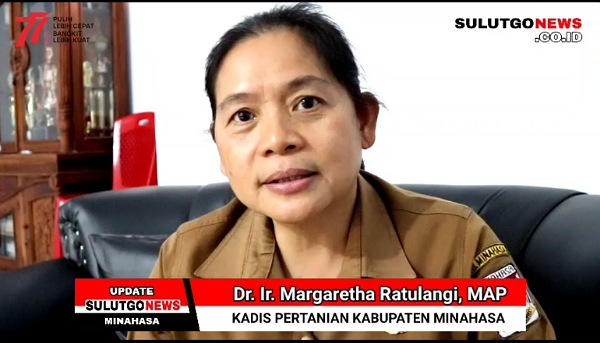 Waspada Penyakit Mulut dan Kuku, Masyarakat Diimbau Tidak Beli Ternak Dari Luar Daerah