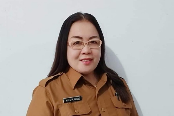 Gambaran Singkat Smart City Minahasa