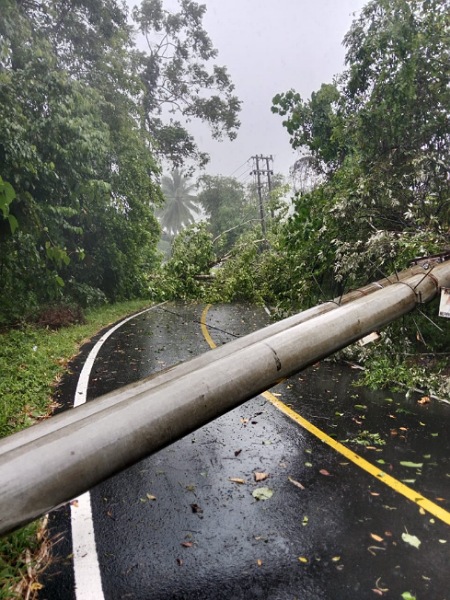 Aksi Cepat Penormalan Pasokan Tenaga Listrik, PLN Sigap Amankan Instalasi Listrik Saat Cuaca Ekstrim Melanda Manado
