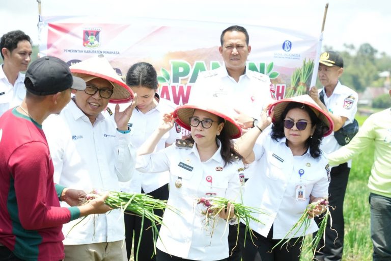 MINAHASA BIDIK SENTRA BARU BAWANG MERAH, PETANI LANGOWAN ADOPSI TEKNOLOGI PERTANIAN MODERN